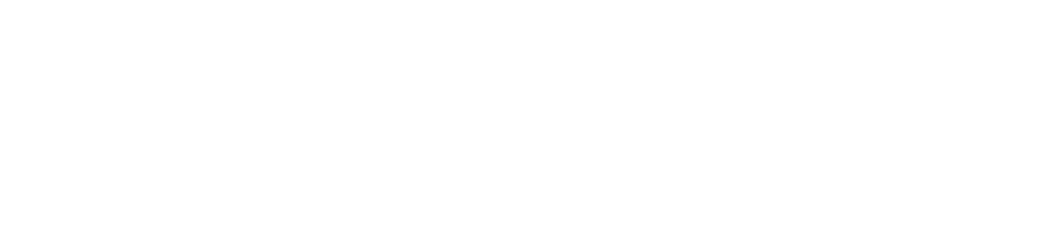 BS LOGO