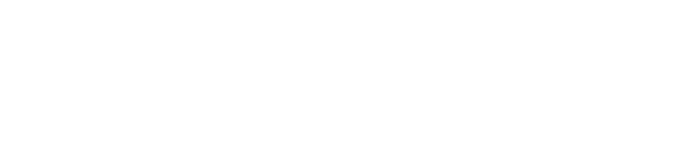 BS LOGO